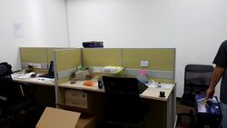 North Spring Bizhub (D27), Factory #465581351